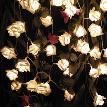 Load image into Gallery viewer, Roses Flower  LED